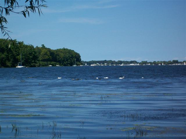 West Shore Sodus Bay Rental